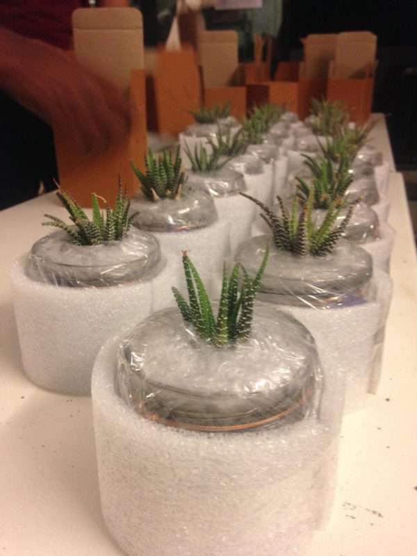 Green Gifts